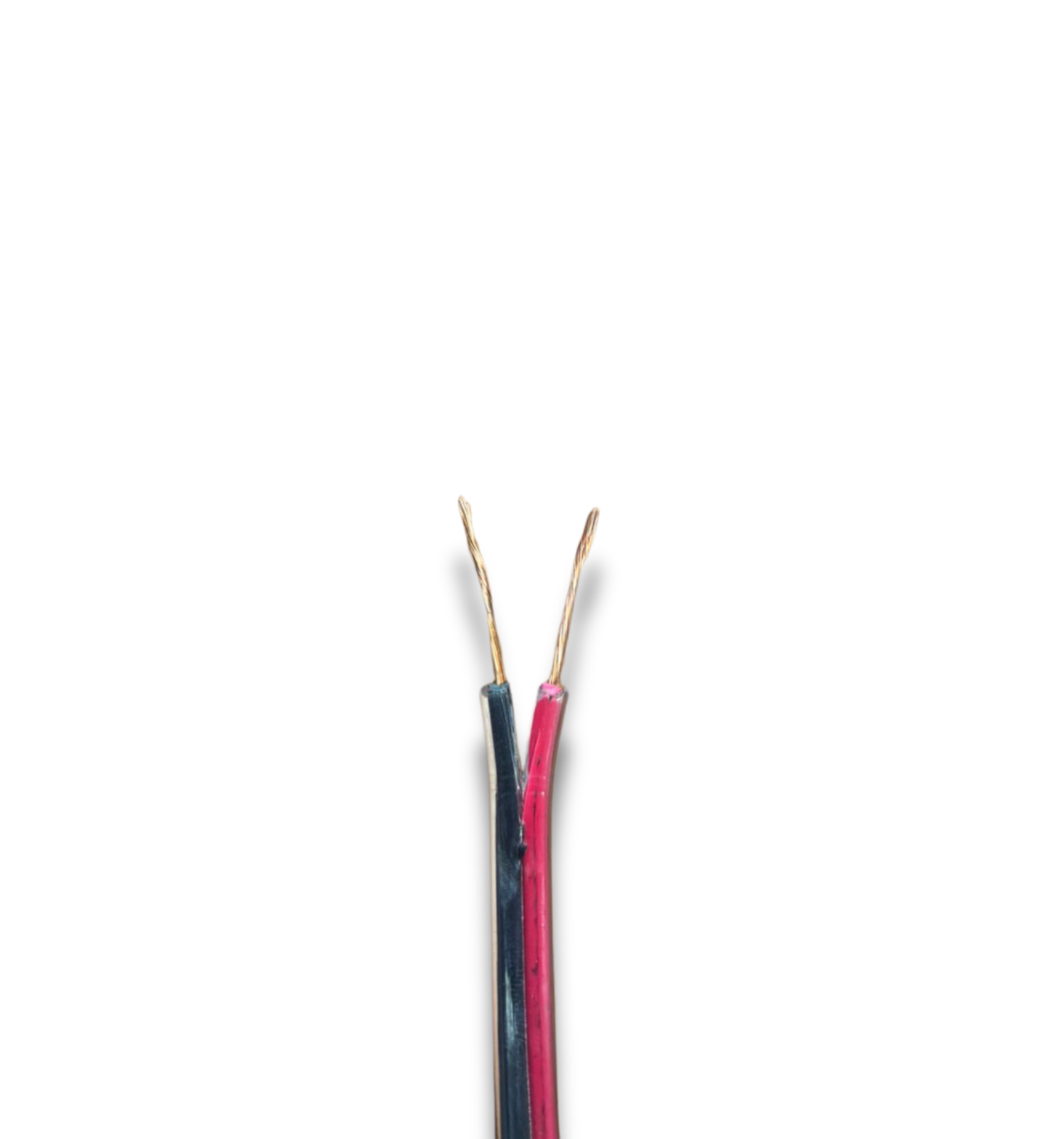 Cable para Bafle/Audio Premium